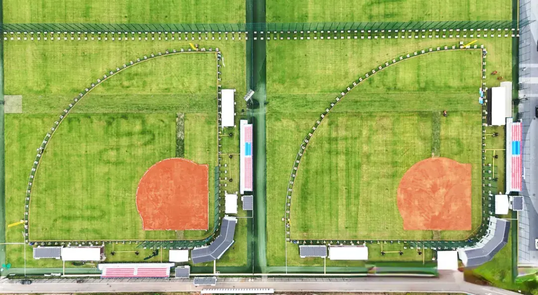 专注于技术 专注于技术