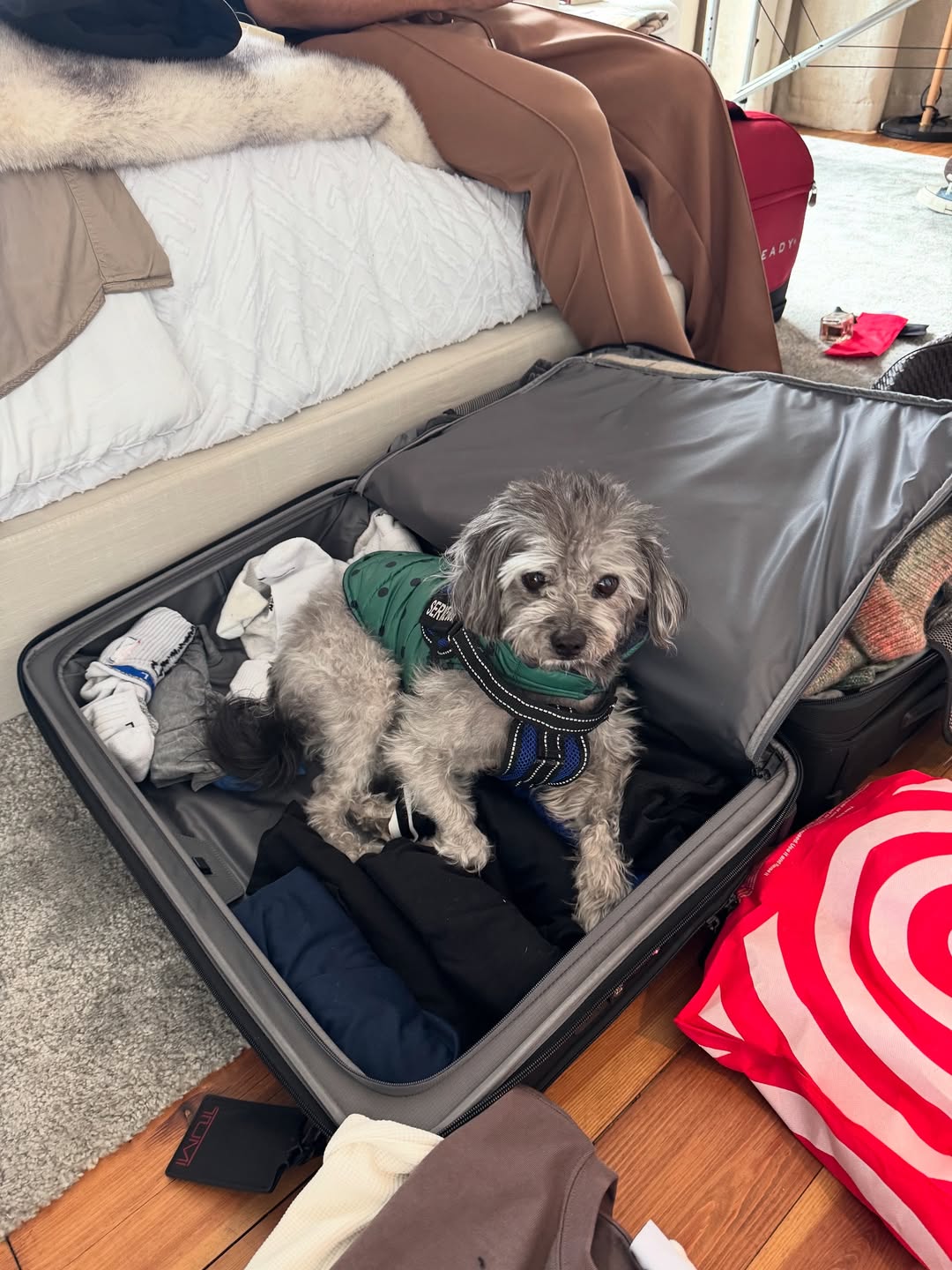 cn, 麦凯恩In, img