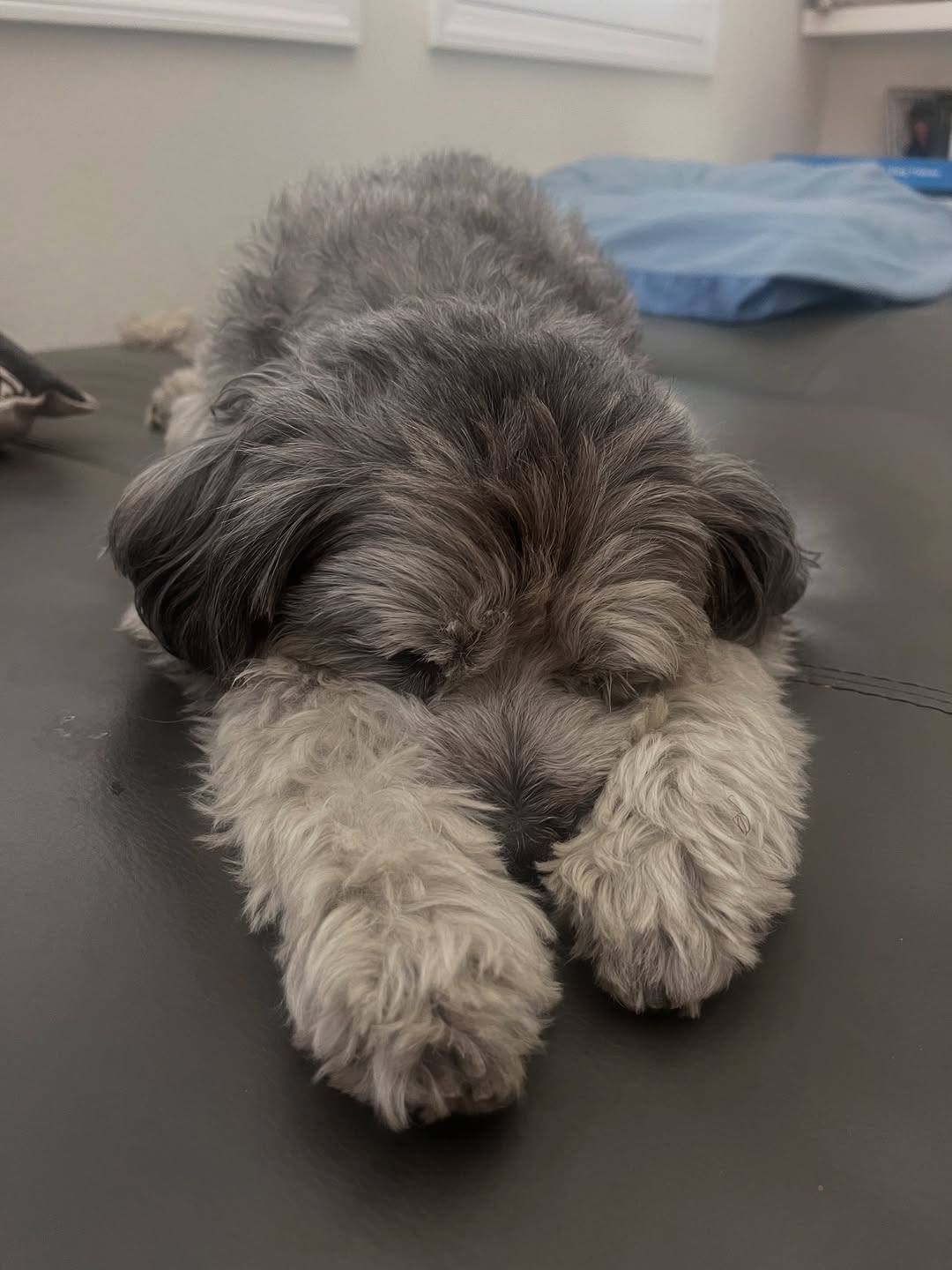 s晒照缅怀, div, 麦凯恩In