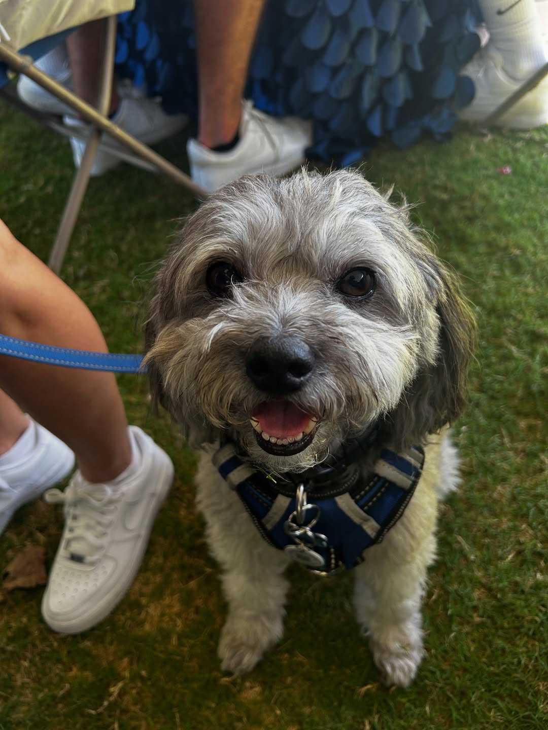 s晒照缅怀, cn, entit