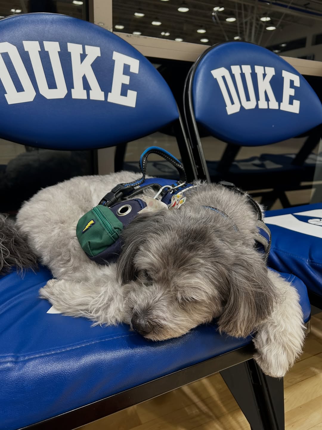 s晒照缅怀, yid, img