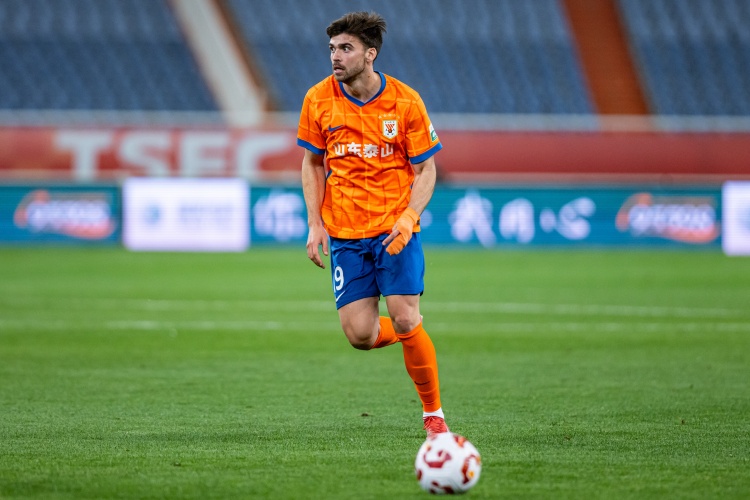 tenan, 泰山队阵容, 人名单 tenan, 泰山队阵容, 人名单