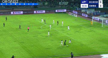 浙江队后场, 媒体原创 浙江队后场, 媒体原创