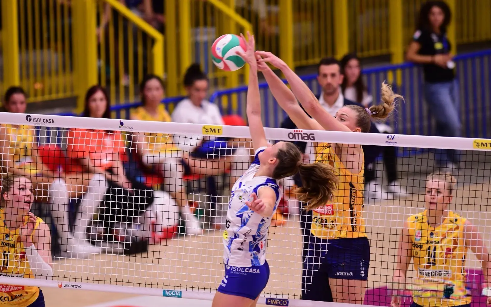 希望朱婷继 希望朱婷继