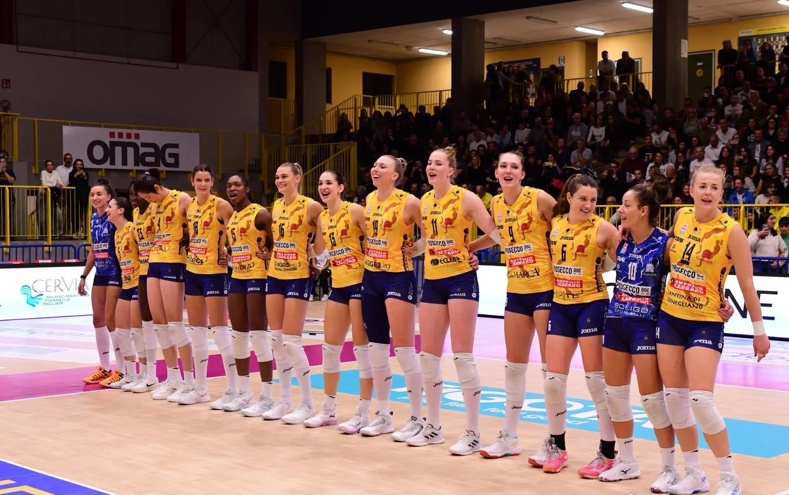 奇却爆冷被 奇却爆冷被